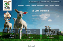 Tablet Screenshot of dvw.nl